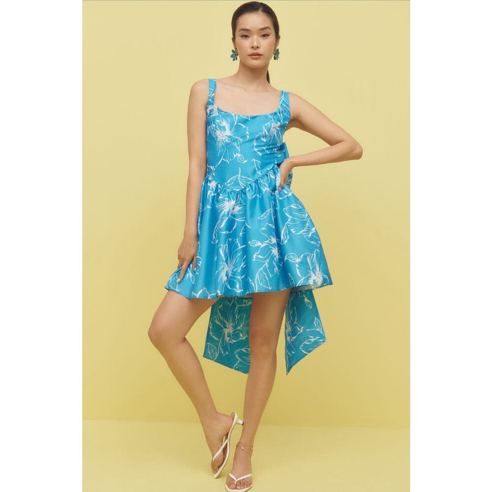 Anthropologie Hutch Back-Bow Basque Waist Blue Floral Mini Dress NWT Size S